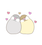 文鳥のもちもち（個別スタンプ：31）