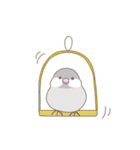 文鳥のもちもち（個別スタンプ：34）