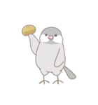 文鳥のもちもち（個別スタンプ：38）