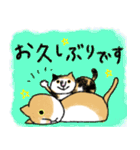 敬語のねこ様（個別スタンプ：19）