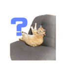 ロコうに③（個別スタンプ：11）