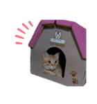 ロコうに③（個別スタンプ：23）