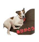ロコうに③（個別スタンプ：25）