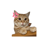 ロコうに③（個別スタンプ：32）