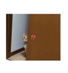 ロコうに③（個別スタンプ：35）