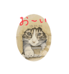 イラスト猫さん挨拶（個別スタンプ：3）