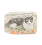 イラスト猫さん挨拶（個別スタンプ：7）