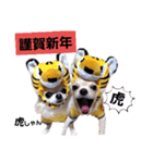 キキとララお正月スタンプ（個別スタンプ：1）