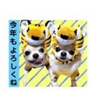 キキとララお正月スタンプ（個別スタンプ：8）
