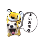 キキとララお正月スタンプ（個別スタンプ：15）