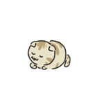 タレ耳短足マンチカンにゃん（個別スタンプ：3）