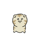 タレ耳短足マンチカンにゃん（個別スタンプ：4）