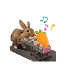 うさぎのめい3（個別スタンプ：4）