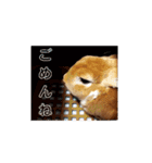 うさぎのめい3（個別スタンプ：9）