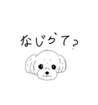 愛犬チワマル✖︎新潟弁（個別スタンプ：1）