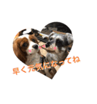 可愛いキャバリア お約束編（個別スタンプ：18）