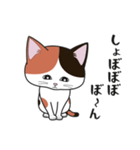 にゃんちょこりん【三毛猫】（個別スタンプ：5）
