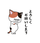 にゃんちょこりん【三毛猫】（個別スタンプ：25）