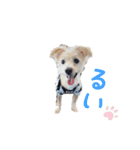 瑠一の日常。#1（個別スタンプ：1）
