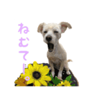 瑠一の日常。#1（個別スタンプ：5）