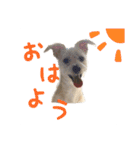 瑠一の日常。#1（個別スタンプ：6）