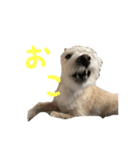 瑠一の日常。#1（個別スタンプ：8）