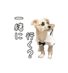 瑠一の日常。#1（個別スタンプ：20）
