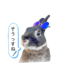 ミンチョップ3（個別スタンプ：10）