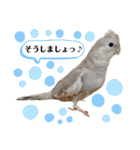 ミンチョップ3（個別スタンプ：14）