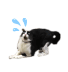 みちゃんの猫たち（個別スタンプ：3）
