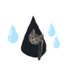 みちゃんの猫たち（個別スタンプ：8）