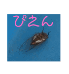 OK2021ver2（個別スタンプ：11）