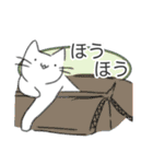 きょむきょむねこ（個別スタンプ：7）