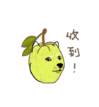 果物と野菜の柴犬（個別スタンプ：16）