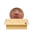 ここしゃんわーるど♡（個別スタンプ：17）