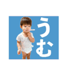 けんたろ1歳スタンプ（個別スタンプ：12）