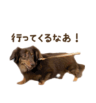 もっとがんばるちむ（個別スタンプ：9）
