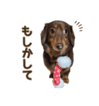 もっとがんばるちむ（個別スタンプ：18）