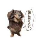 もっとがんばるちむ（個別スタンプ：20）