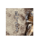 もっとがんばるちむ（個別スタンプ：23）