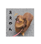 もっとがんばるちむ（個別スタンプ：32）