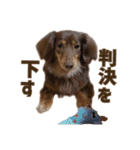 もっとがんばるちむ（個別スタンプ：33）