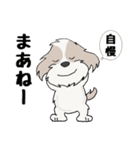 シーズー犬のタッ君（個別スタンプ：8）