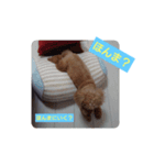 くるくるるーく（個別スタンプ：3）