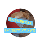 くるくるるーく（個別スタンプ：5）