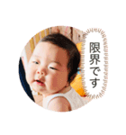 ひよりちゃん 家族会話編（個別スタンプ：10）