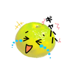 みかんの季節。わせみかんちゃんスタンプ（個別スタンプ：37）