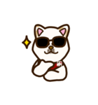 白柴犬ちびキャラスタンプ lineスタンプ（個別スタンプ：12）