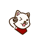 白柴犬ちびキャラスタンプ lineスタンプ（個別スタンプ：16）