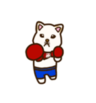 白柴犬ちびキャラスタンプ lineスタンプ（個別スタンプ：19）